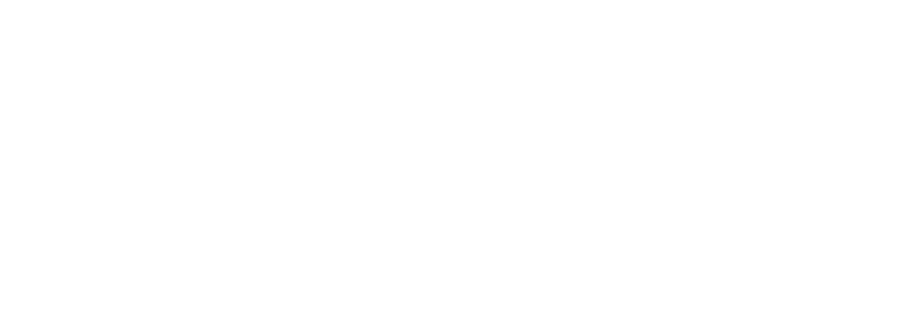 Precise Insurance Advisors